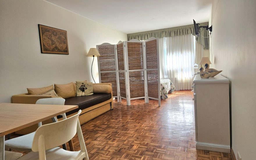 ALQUILER TEMPORARIO – CENTRO – Maipu y Av. Cordoba