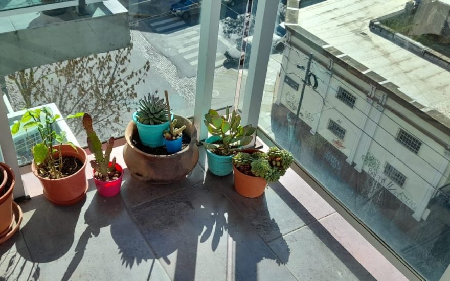 LIBRE 10/09 – ALQUILER AMOBLADO – V. CRESPO – 1 AMB – Vera al 1100