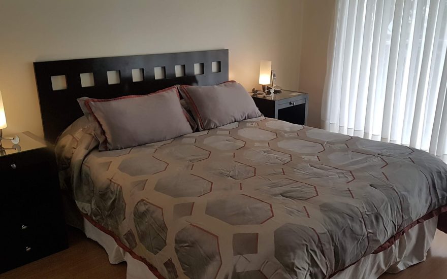 ALQUILER AMOBLADO – PALERMO – 3 AMBIENTES – Scalabrini Ortiz y Beruti – Libre 12 de enero 2026