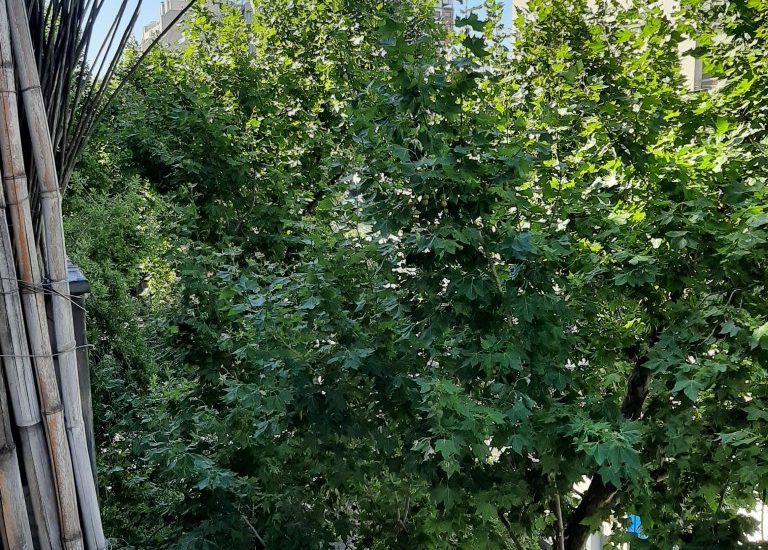 ALQUILADO – PALERMO – Uriarte y Charcas – 3 ambientes con balcon