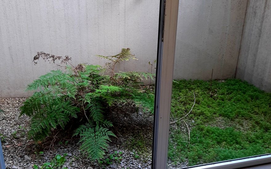 VENTA – VILLA PUEYRREDON –  Zamudio al 4700