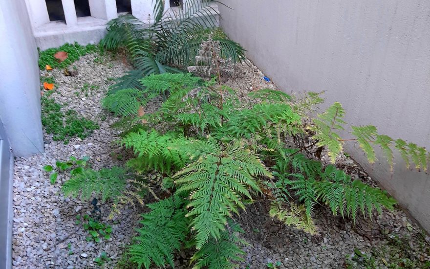 VENTA – VILLA PUEYRREDON –  Zamudio al 4700