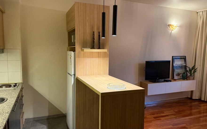 ALQUILER AMOBLADO – PALERMO – 1 AMBIENTE – Mansilla y Sc. Ortiz – Libre