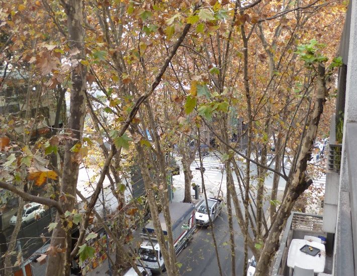 ALQUILER AMOBLADO – PALERMO – 1 AMBIENTE CON PILETA – Fitz Roy y Guatemala